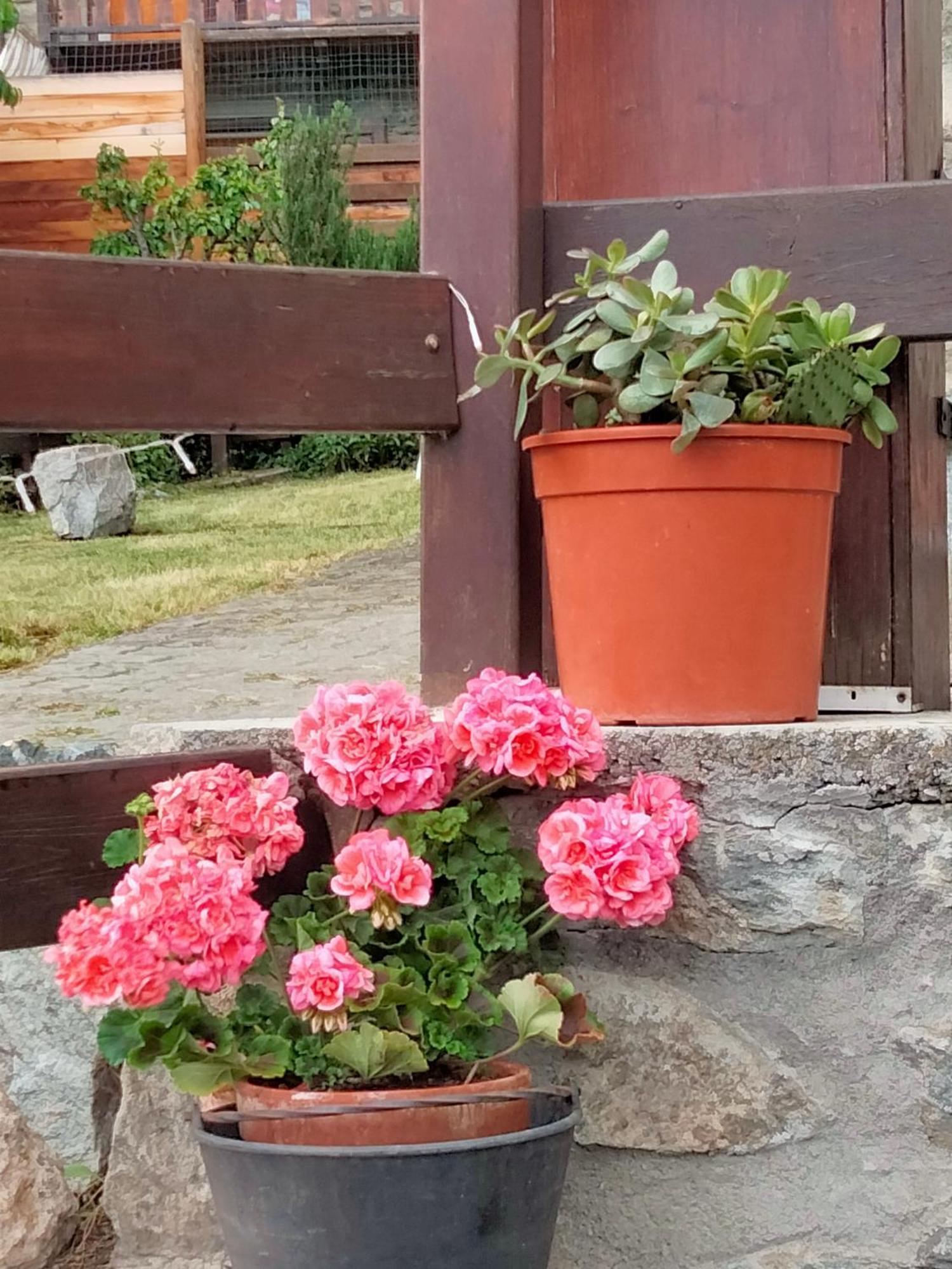 Grand Rive Bed & Breakfast Saint-Pierre Exterior photo